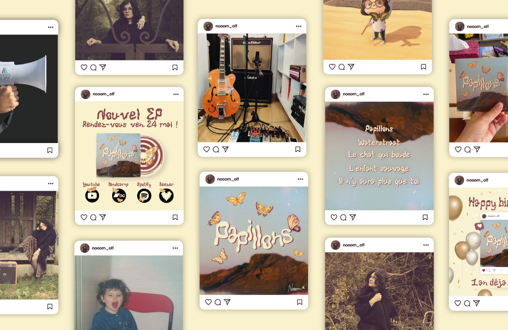 Communication reseaux sociaux papillons 2024
